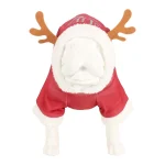 trui-hond-kerst-holidays-rood-GEFmMAqC-0.webp