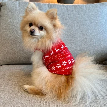 Online Friendly Pet Trui Hond Kerst Nordic Rood 20cm