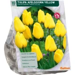 Discount Baltus Tulipa Apeldoorn Geel Darwin Per 10