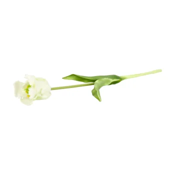 Online Tulp Papegaai Real Touch 62 Cm Wit