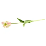tulp-papegaai-real-touch-62-cm-oLfEDeQY-0.webp