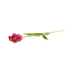 tulp-papegaai-real-touch-62-cm-wodQlDUS-0.webp