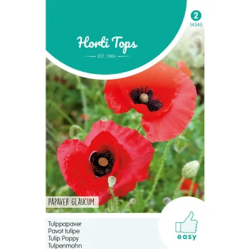 Sale Horti Tops Tulppapaver