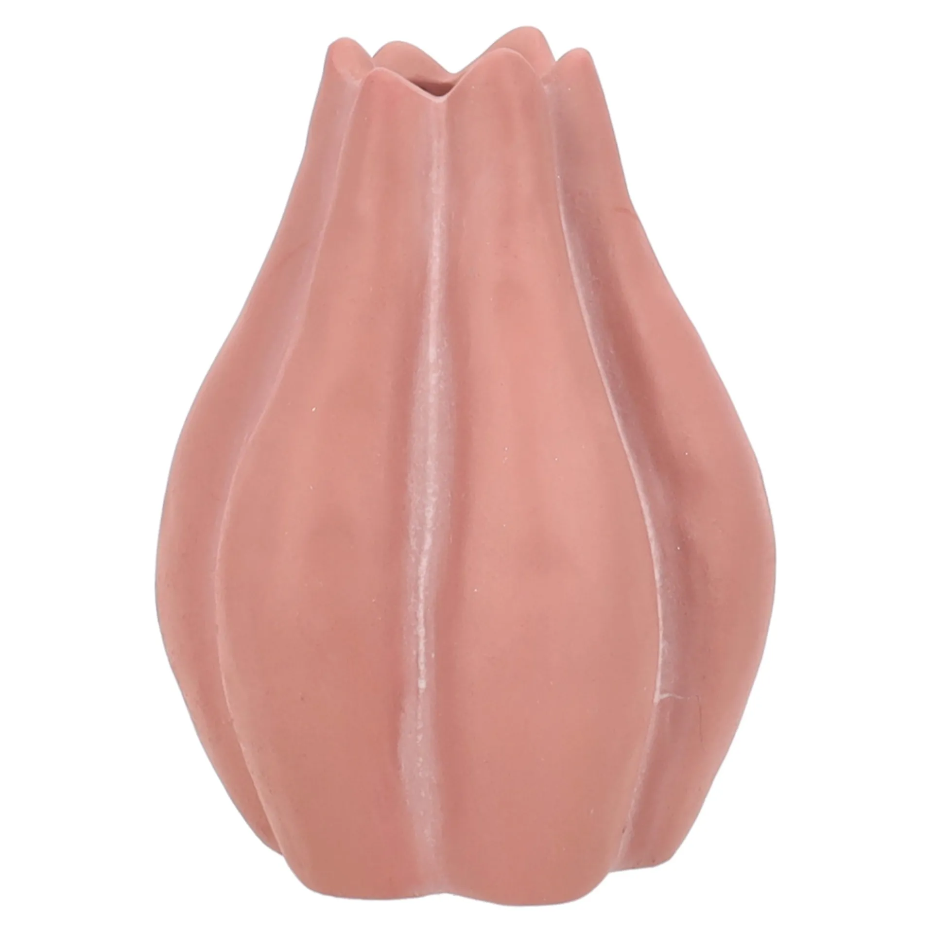 vaas-futi-18cm-roze-RgUZgzNh-0.webp New Van Cranenbroek Vaas Futi 18cm Roze