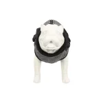 vest-hond-calisto-22cm-CbUAAwRl-0.webp