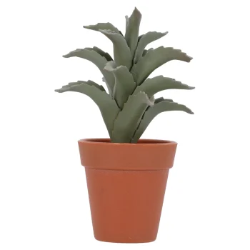 Best Everlands Vetplant In Pot, 4 Assorti