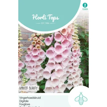 Best Horti Tops Vingerhoedskruid Apricot Beauty