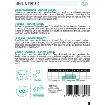 Best Horti Tops Vingerhoedskruid Apricot Beauty