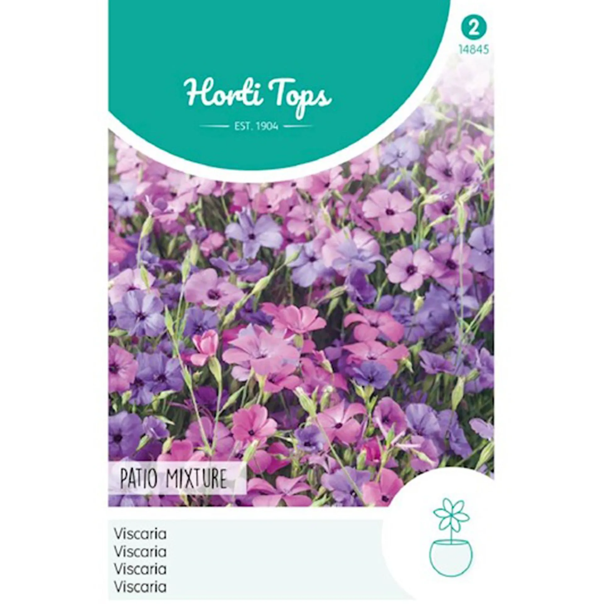 viscaria-patio-mix-bfOSyJCH-0.webp New Horti Tops Viscaria Patio Mix