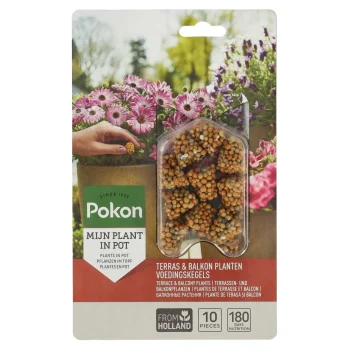 Outlet Pokon Voedingskegels Terras + Balkon 10st