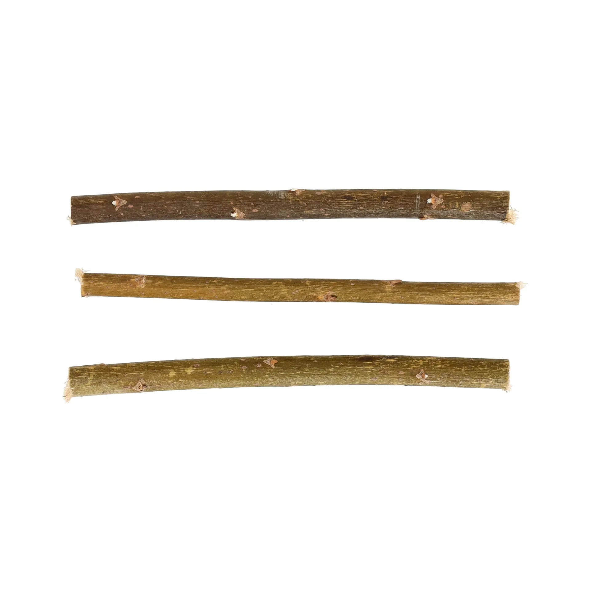 wilgenstokjes-papegaai-10st-sm-leCnGVHU-2.webp Online Friendly Pet Wilgenstokjes Papegaai 10st Small