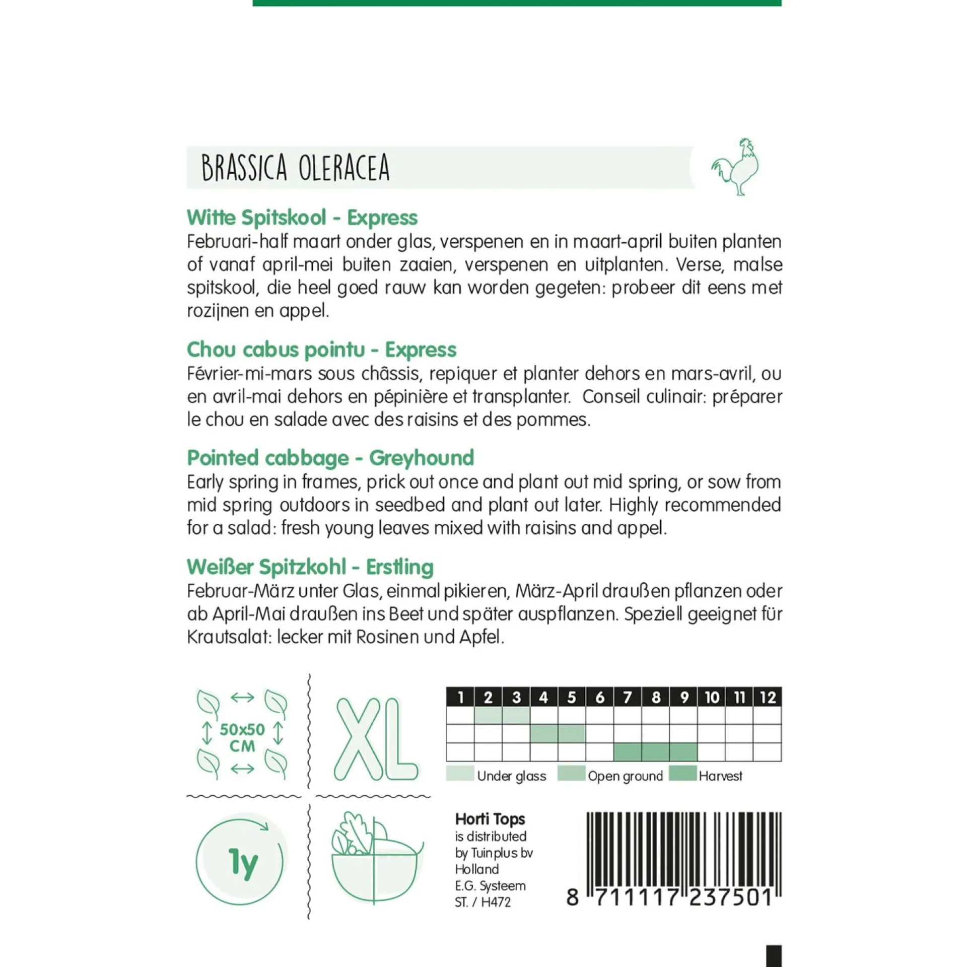 witte-spitskool-express-zaad-aJSsHroz-1.webp Clearance Horti Tops Witte Spitskool Express Zaad