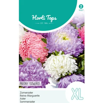 Online Horti Tops Zomeraster Pioenbloemig Mix