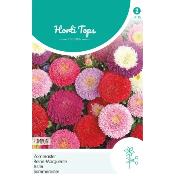 Fashion Horti Tops Zomeraster Pompon Mix