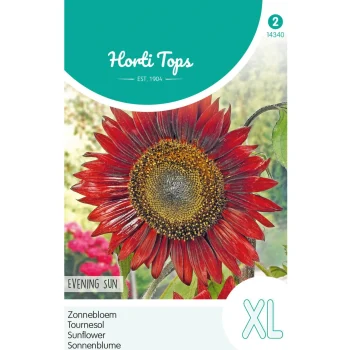 Discount Horti Tops Zonnebloem Evening Sun