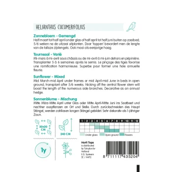 Clearance Horti Tops Zonnebloem Mix