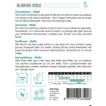 Discount Horti Tops Zonnebloem Stella