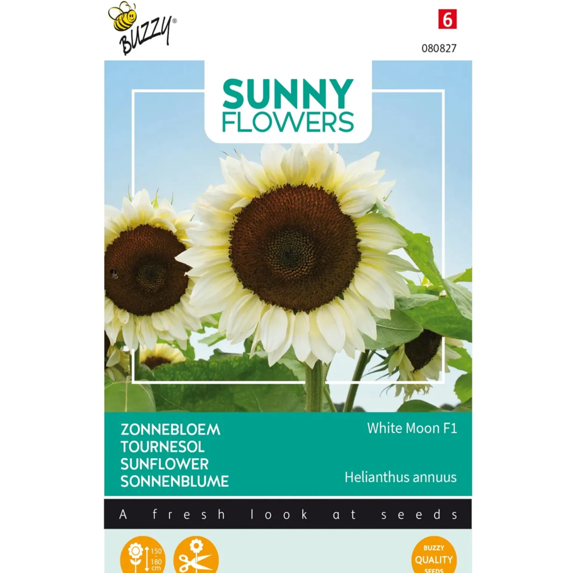 zonnebloem-white-moon-of-night-ykCozWIy-0.webp Sale Buzzy Zonnebloem White Moon Of Night