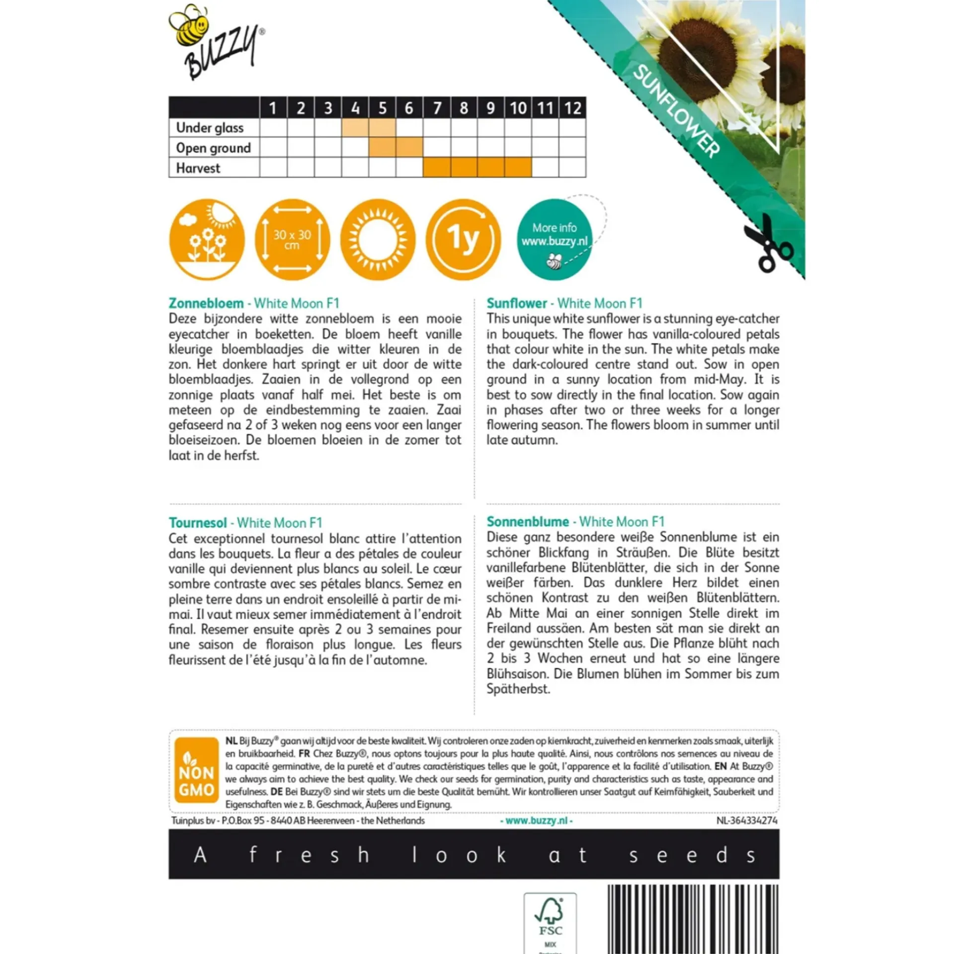zonnebloem-white-moon-of-night-ykCozWIy-1.webp Sale Buzzy Zonnebloem White Moon Of Night