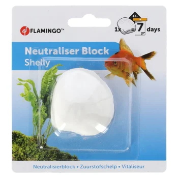 Sale Flamingo Zuurstofschelp